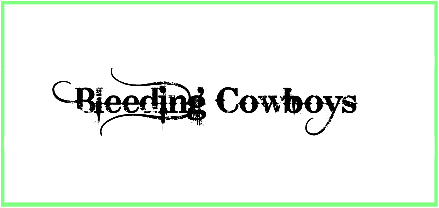 Bleeding Cowboys Font free Download