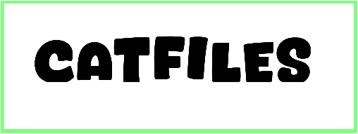 Catfiles Font free Download