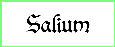 Salium Font free download