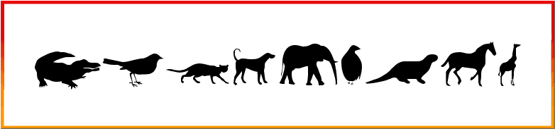 Animals Font free download