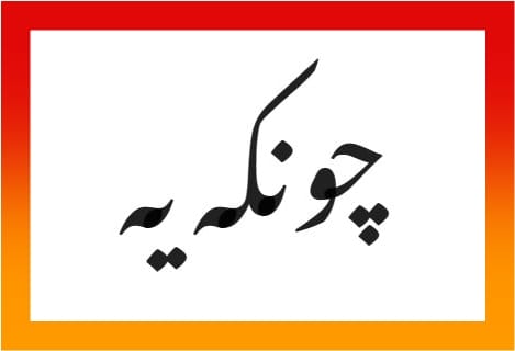 Noto Nastaliq Urdu Font free Download