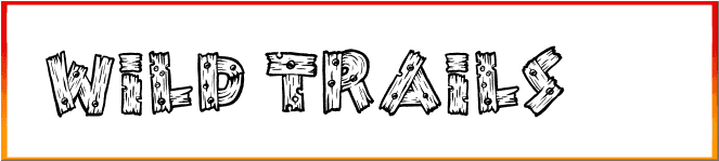 Wild Trails Font free download