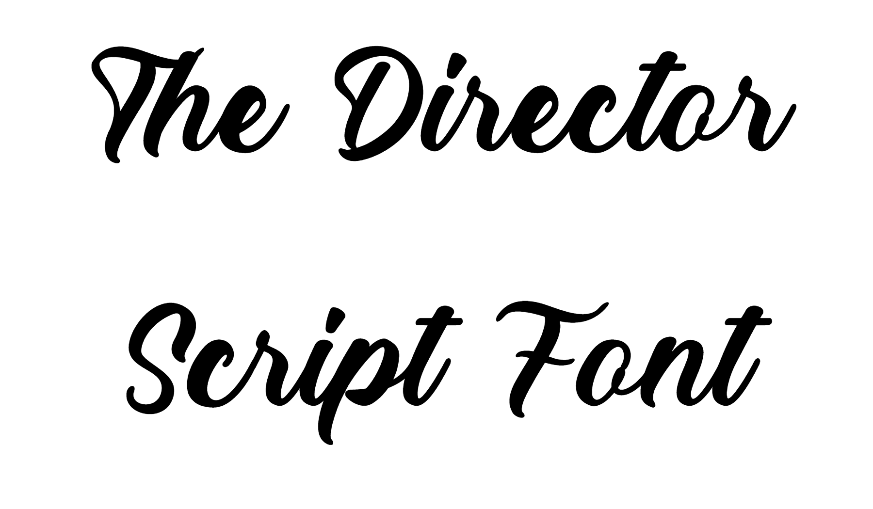 The Director Script Font Download