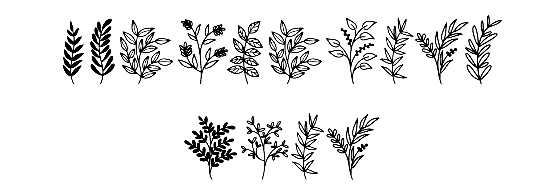 Wildplants Font Download